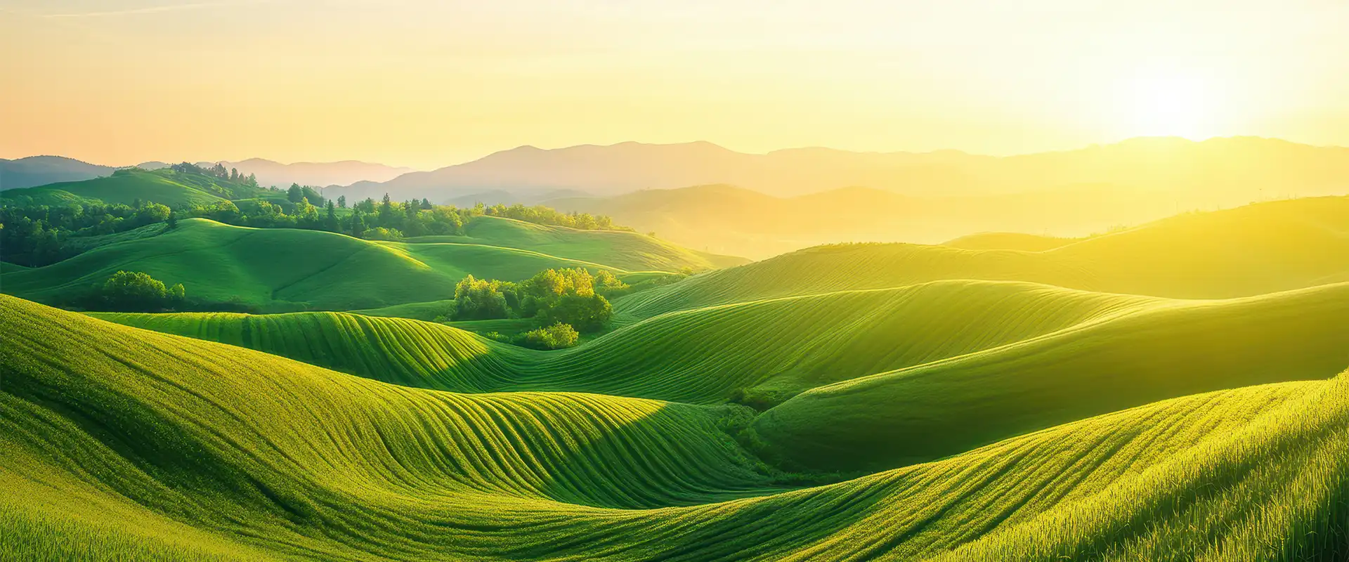 Sunlit green hills and peaceful countryside